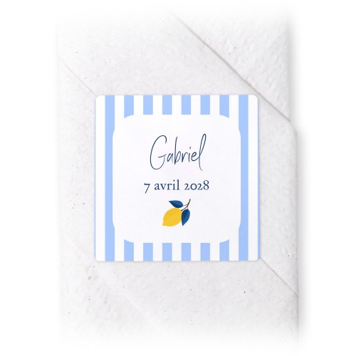 Lemon Stripes Party Lemon Stripes Party
