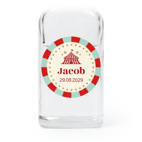 Circus Ticket Circus Ticket