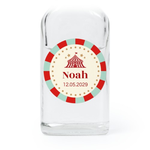 Circus Ticket Circus Ticket