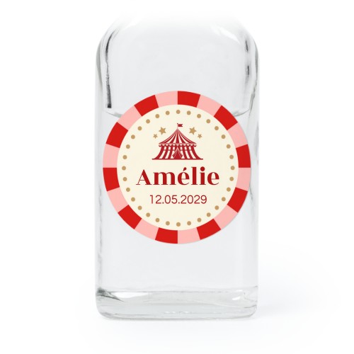 Circus Ticket Circus Ticket