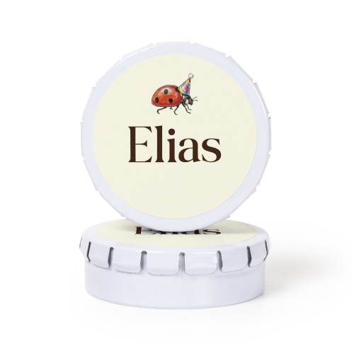 Illustration Ladybug