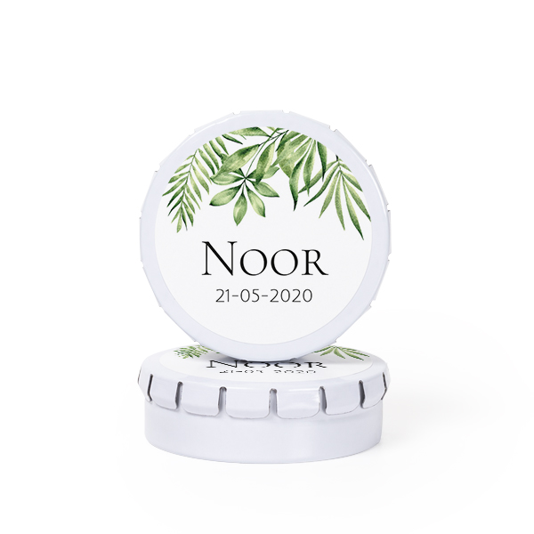 Tropical Plant Frame