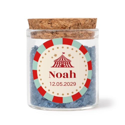 Circus Ticket Circus Ticket