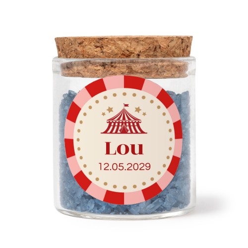 Circus Ticket Circus Ticket