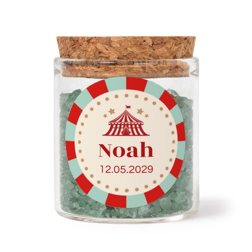 Circus Ticket Circus Ticket