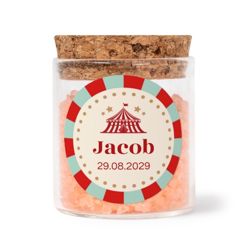 Circus Ticket Circus Ticket