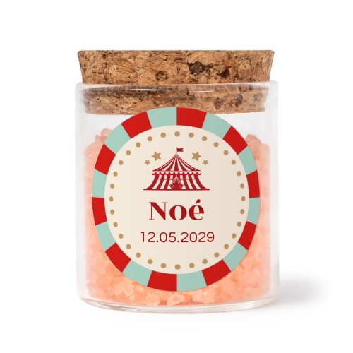 Circus Ticket Circus Ticket