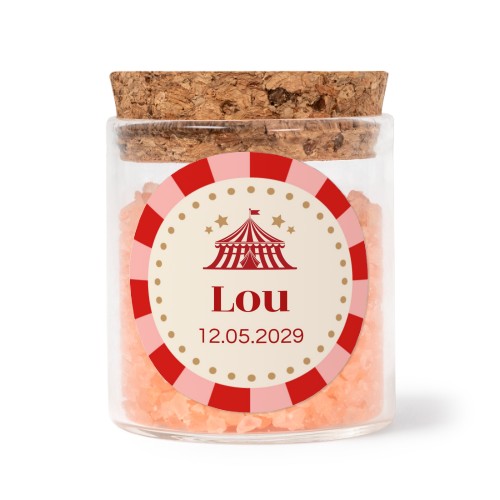 Circus Ticket Circus Ticket