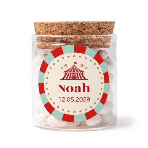 Circus Ticket Circus Ticket