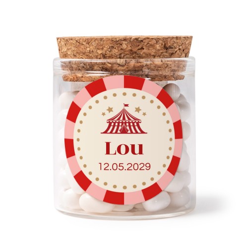 Circus Ticket Circus Ticket