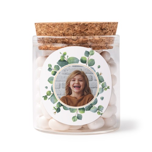 Eucalyptus Leaves Eucalyptus Leaves