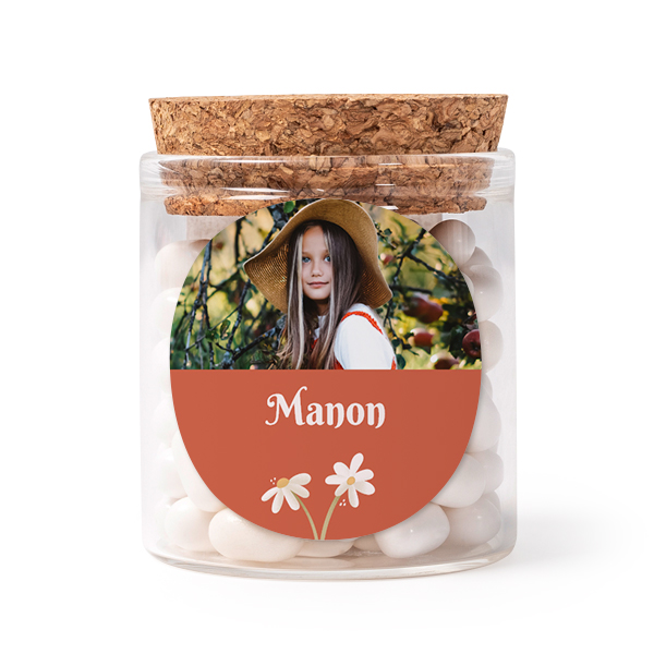 SpringFlowerDaisy SpringFlowerDaisy