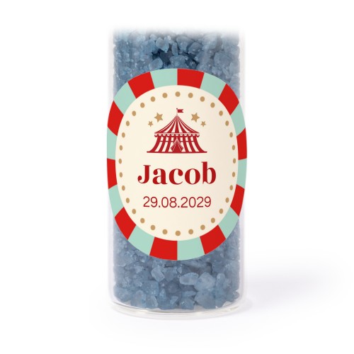 Circus Ticket Circus Ticket