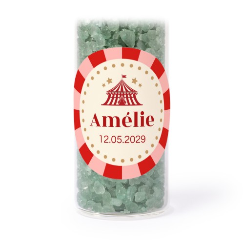 Circus Ticket Circus Ticket