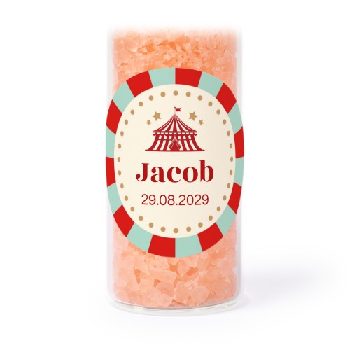 Circus Ticket Circus Ticket