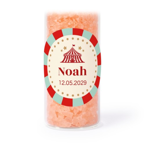 Circus Ticket Circus Ticket