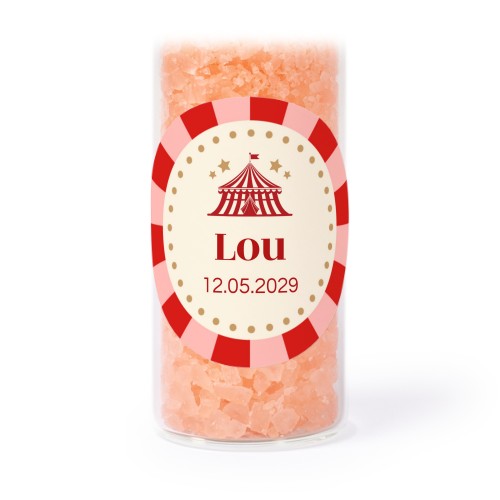 Circus Ticket Circus Ticket