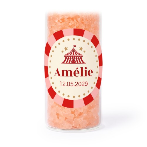 Circus Ticket Circus Ticket