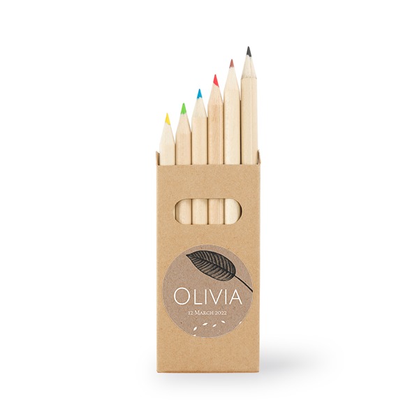 Crayons de couleur (lot de 24)