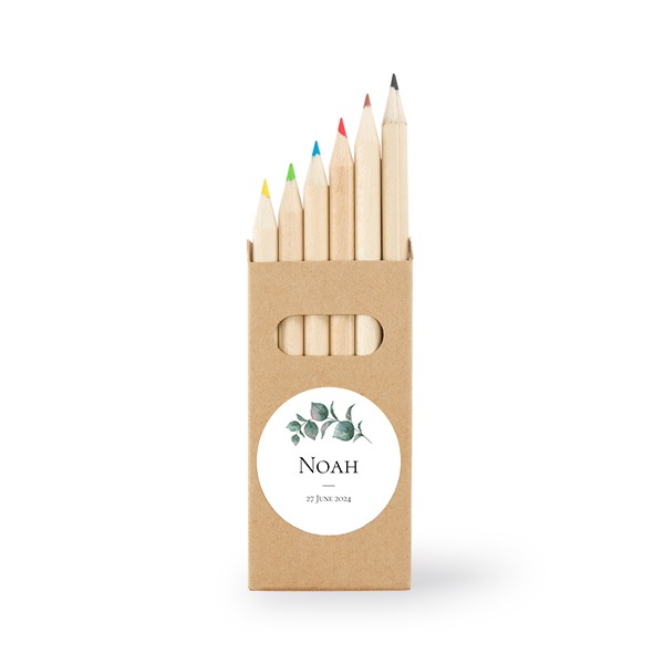 Crayons de couleur (lot de 24) Crayons de couleur (lot de 24)