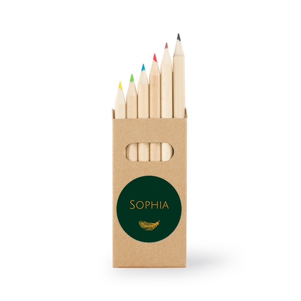 Crayons de couleur (lot de 24)