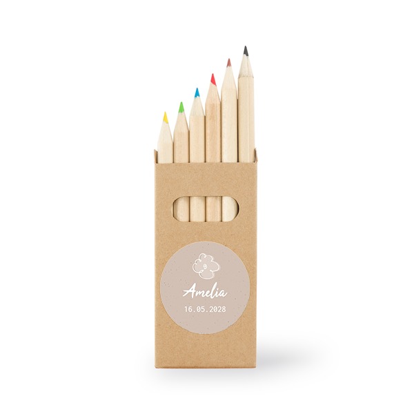 Crayons de couleur (lot de 24)