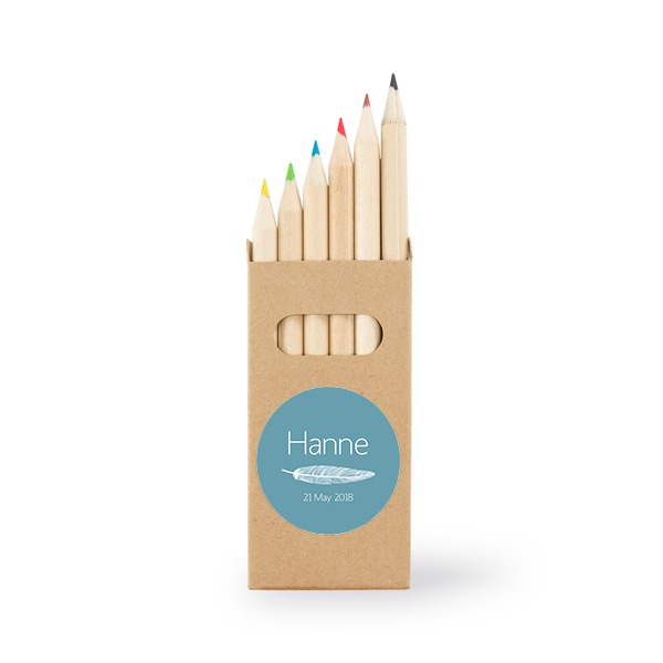 Crayons de couleur (lot de 24)