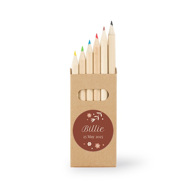 Set of 24 Coloured Pencils