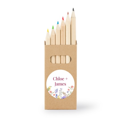 Crayons de couleur (lot de 24)