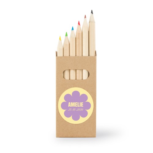 Boîtes de crayons de couleur (lot de 12)