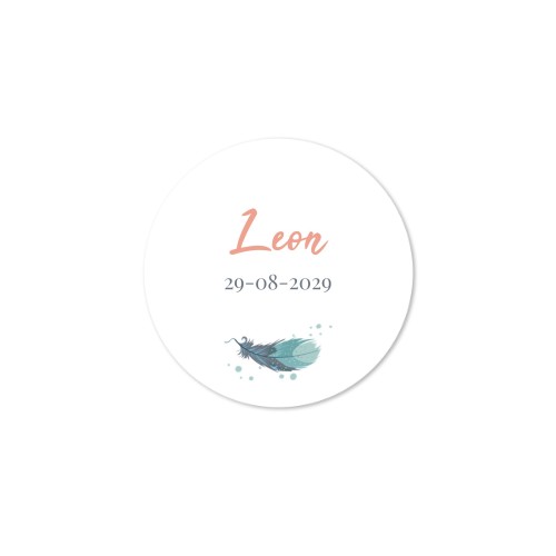Bohemian Feathers - Text Only