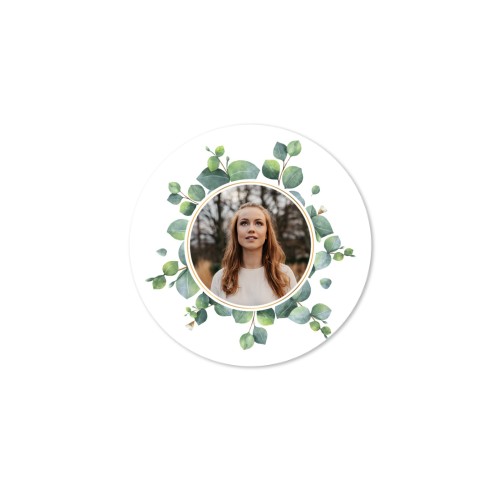 Eucalyptus Leaves Eucalyptus Leaves