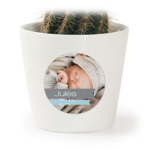 Plant Pot with Sticker - Set of 12 Plant Pot with Sticker - Set of 12