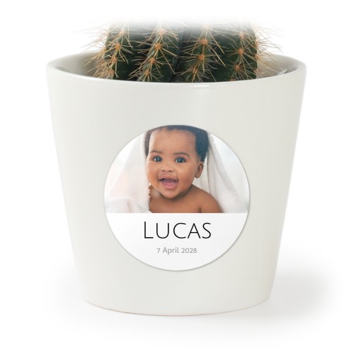 Minimalistic Photo Collage