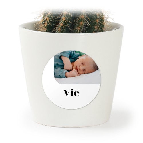Bloempot met sticker - set van 12 Bloempot met sticker - set van 12