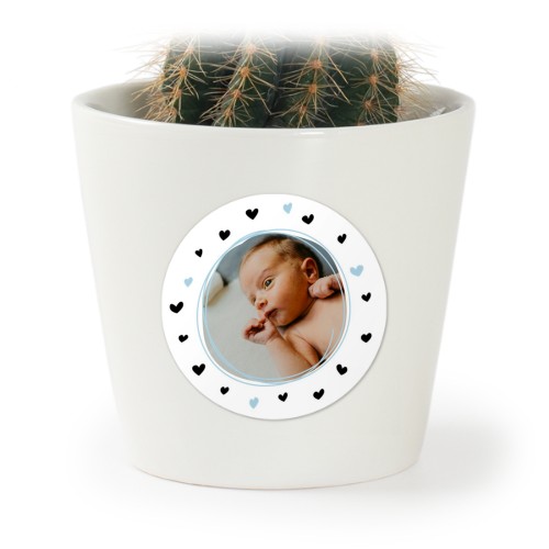 SprinkledHearts SprinkledHearts