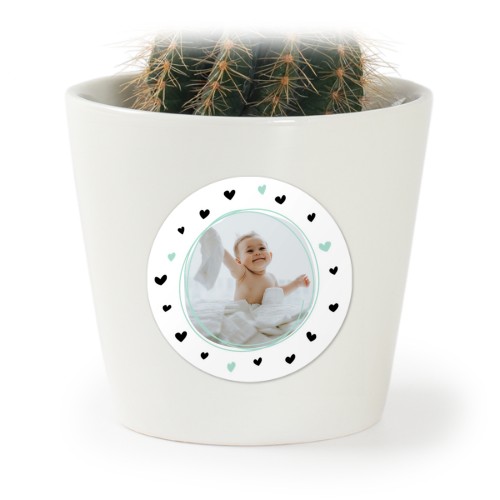 SprinkledHearts SprinkledHearts