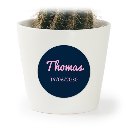 Blomsterpotte med klistremerke - sett med 12 stk