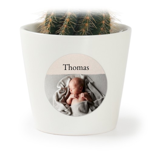 Plant Pot with Sticker - Set of 12 Plant Pot with Sticker - Set of 12
