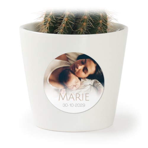 Cloud Collage Cloud Collage