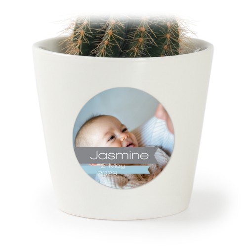 Plant Pot with Sticker - Set of 12 Plant Pot with Sticker - Set of 12
