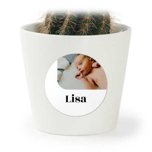 Plant Pot with Sticker - Set of 12 Plant Pot with Sticker - Set of 12