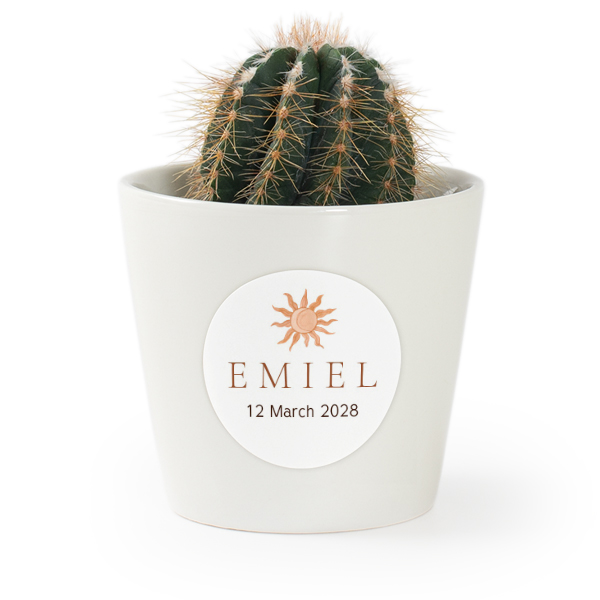 Plant Pot with Sticker - Set of 12 Plant Pot with Sticker - Set of 12