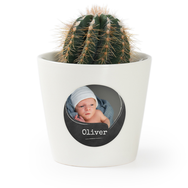 Plant Pot with Sticker - Set of 12