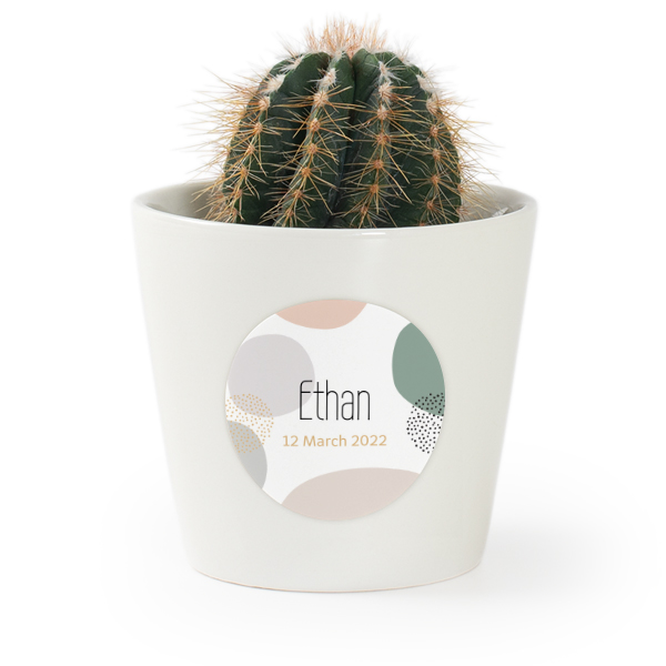 Pot de fleurs avec autocollant - lot de 12