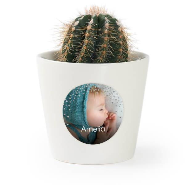 Bloempot met sticker - set van 12