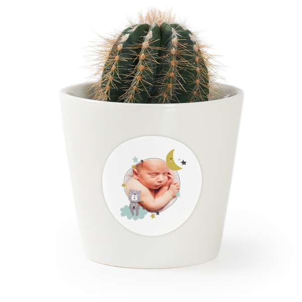 Plant Pot with Sticker - Set of 12