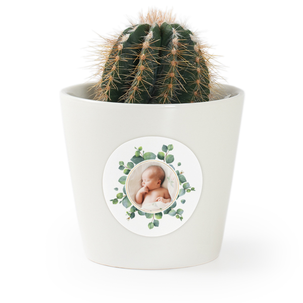 Plant Pot with Sticker - Set of 12 Plant Pot with Sticker - Set of 12