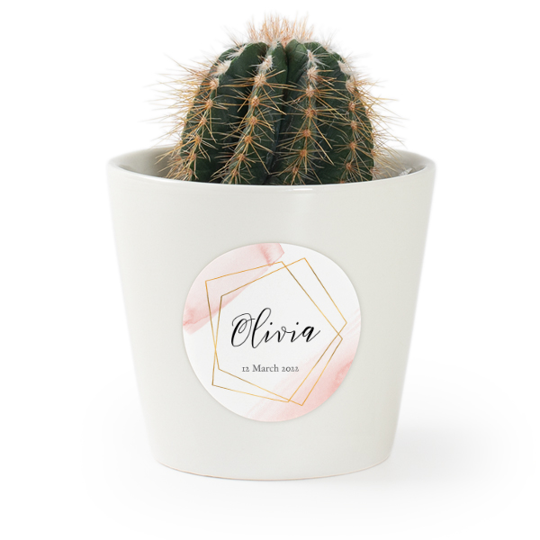 Bloempot met sticker - set van 12 Bloempot met sticker - set van 12