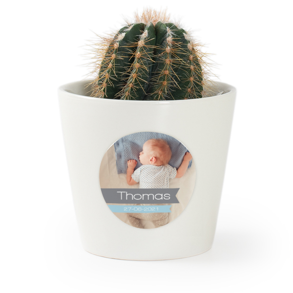 Plant Pot with Sticker - Set of 12